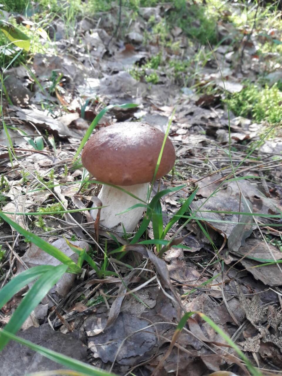 Лазурний Берег Pulemets Exterior photo